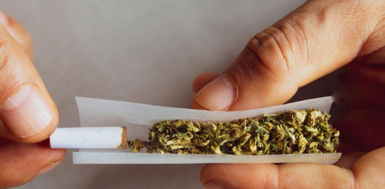 Adicção à Maconha: Mecanismos, Consequências e Desafios no Tratamento	