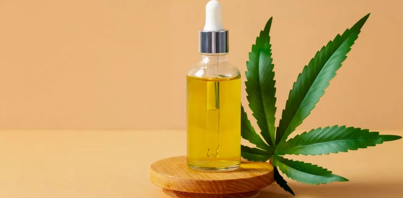 Cannabis: 12.000 anos de experiências e preconceitos