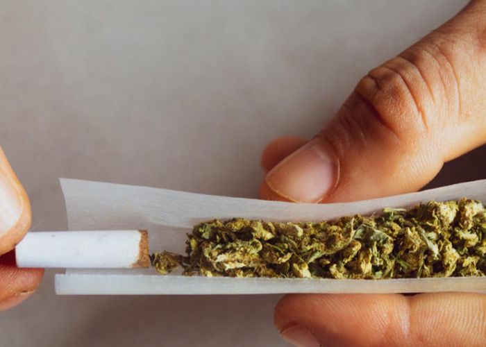 Adicção à Maconha: Mecanismos, Consequências e Desafios no Tratamento	