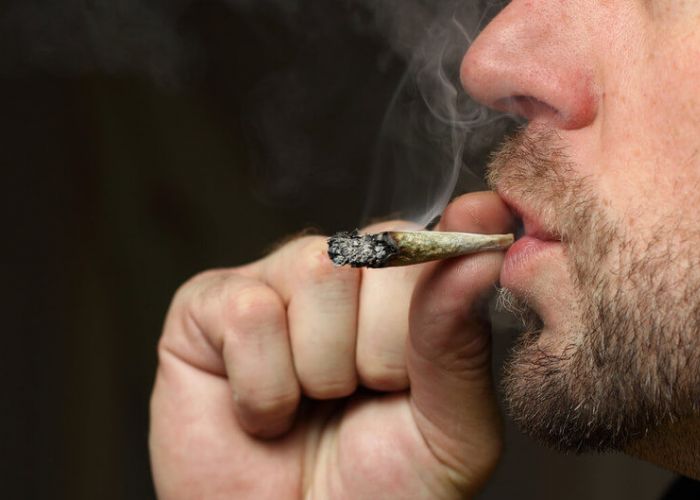 Os desafios da abstinência da maconha e a convivência com colegas adictos no ambiente de trabalho