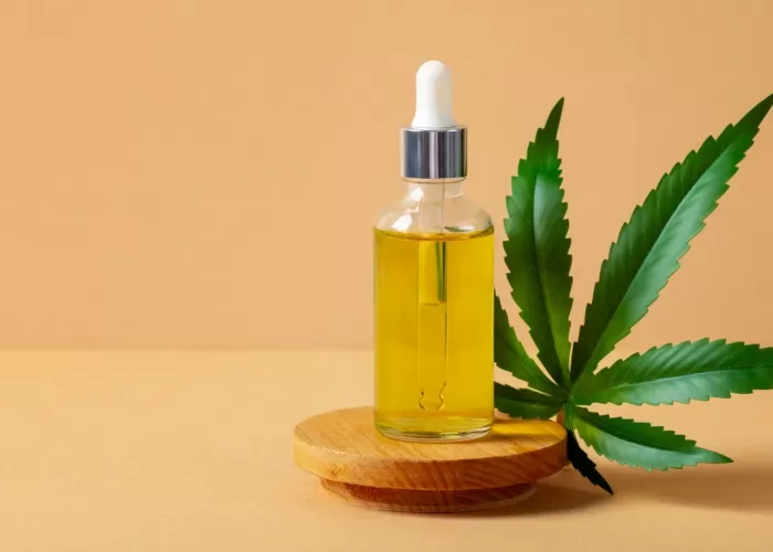 Cannabis: 12.000 anos de experiências e preconceitos